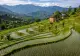 नेपालको भिरालो खेती: साना तर उत्पादनशील टेरेस खेतका रहस्यहरू