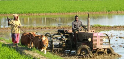झोलमल: शून्य लागतको जैविक मल — नेपाली किसानको सफल उपाय