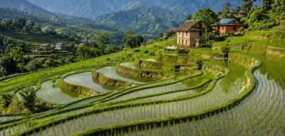 नेपालको भिरालो खेती: साना तर उत्पादनशील टेरेस खेतका रहस्यहरू
