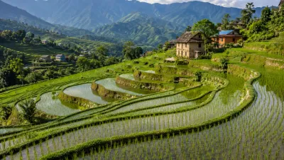 नेपालको भिरालो खेती: साना तर उत्पादनशील टेरेस खेतका रहस्यहरू