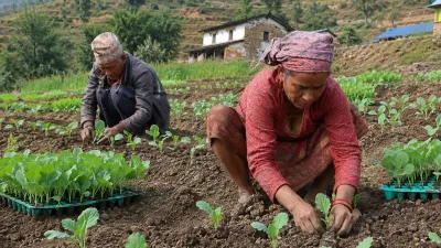आश्विनमा के रोप्ने? नेपालको महिनावारी खेती गाइड