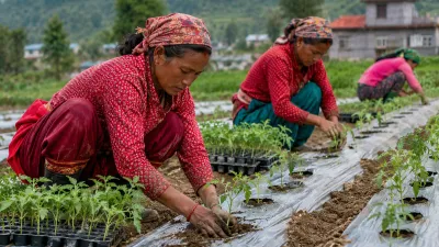 फाल्गुनमा के रोप्ने? नेपालको महिनावारी खेती गाइड