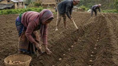 माघमा के रोप्ने? नेपालको महिनावारी खेती गाइड