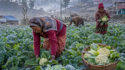 पुसमा के रोप्ने? नेपालको महिनावारी खेती गाइड