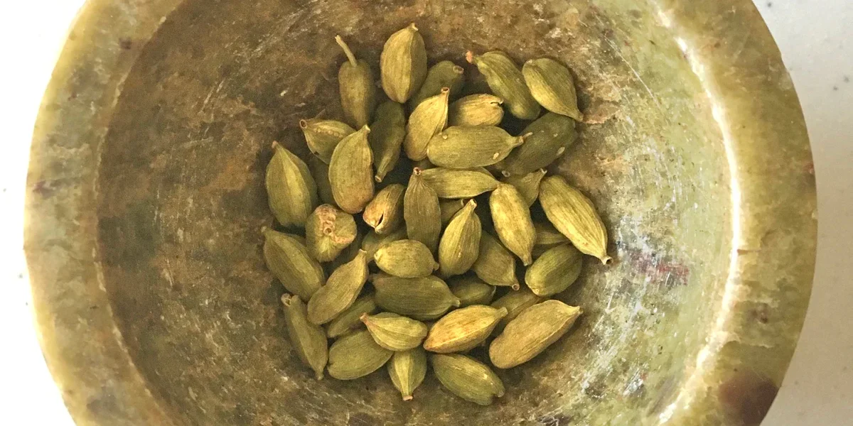 Cardamom (Alaichi) Farming Guide: Nepal's Key Export Crop, Explained Simply