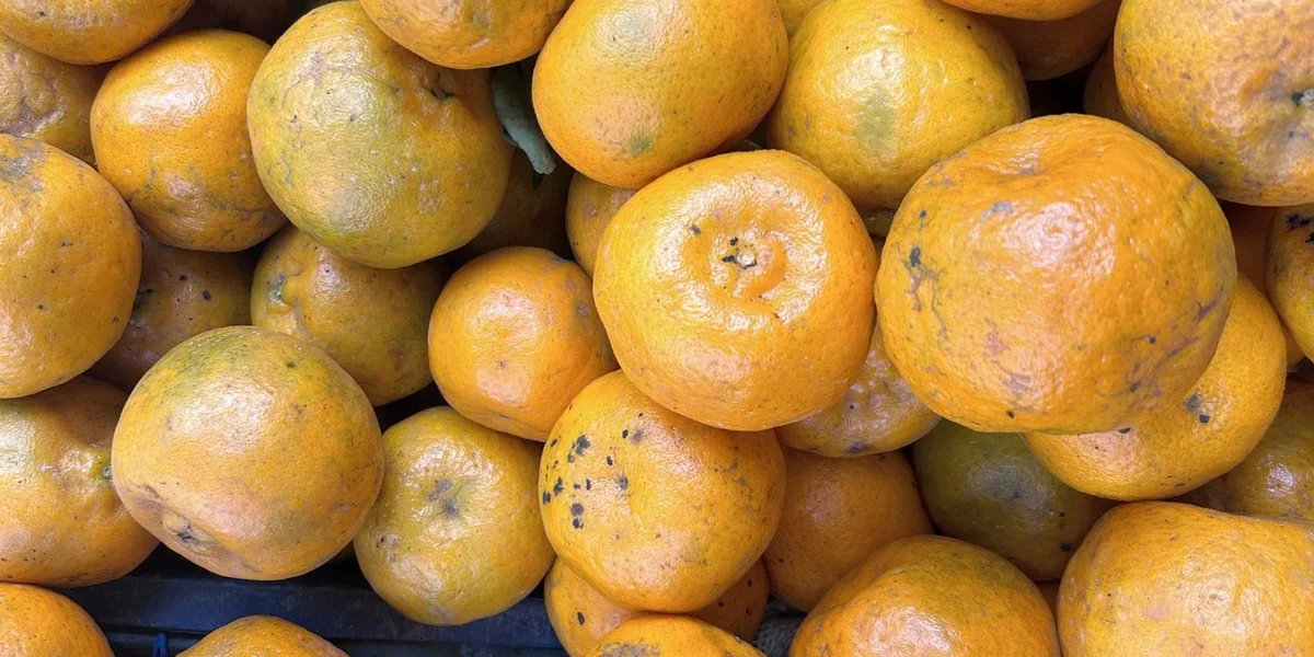 Seasonal Fruit Buying Guide for Nepal: What to Buy Each Month