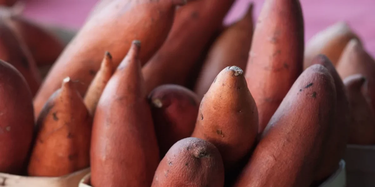 How to Spot Fresh vs Old Vegetables: What to Check Before You Buy